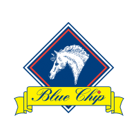 Blue Chip Logo- Blue rhombus shape with white and red outlining and horse in the centre. Yellow banner with company name  