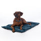 HKM Dog Blanket -Anam Cara Travel-