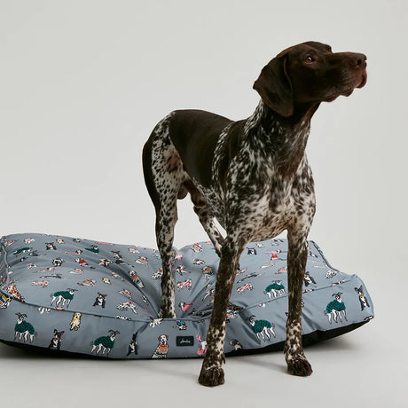 Joules Rainbow Dogs Mattress #colour_grey-dog-print