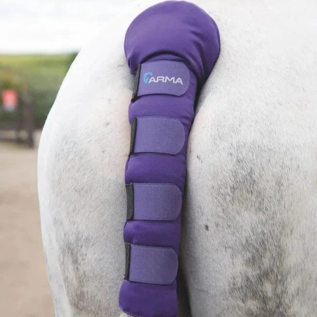 Shires ARMA Padded Tail Guard #colour_purple
