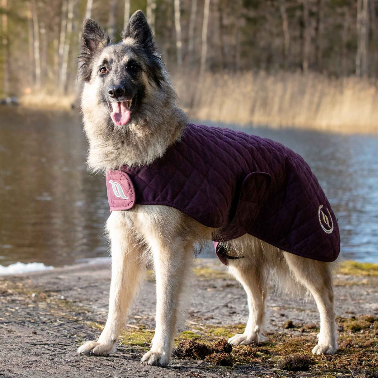 Back On Track Night Collection Dog Coat #colour_burgundy