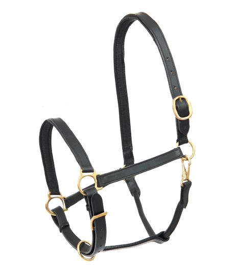 E.L.T Leather Halter #colour_black