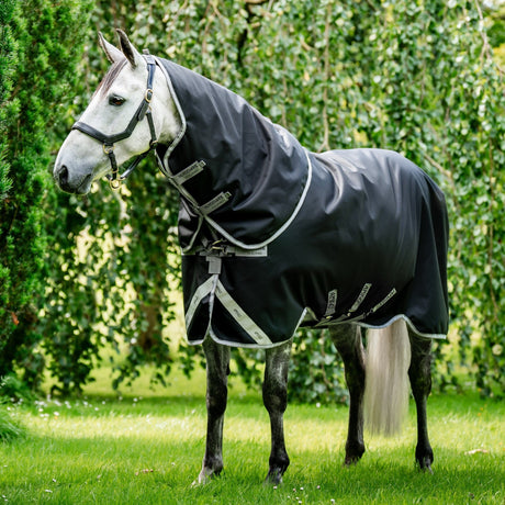 Horseware Ireland Amigo Bravo 12 Plus 250g Medium Turnout Rug #colour_black-titanium-grey-silver