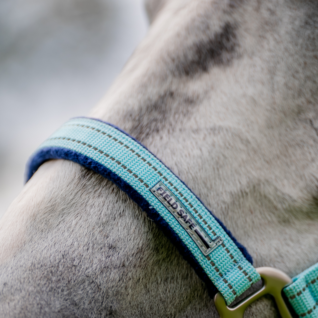 Horseware Ireland Field Safe Headcollar #colour_blue-haze