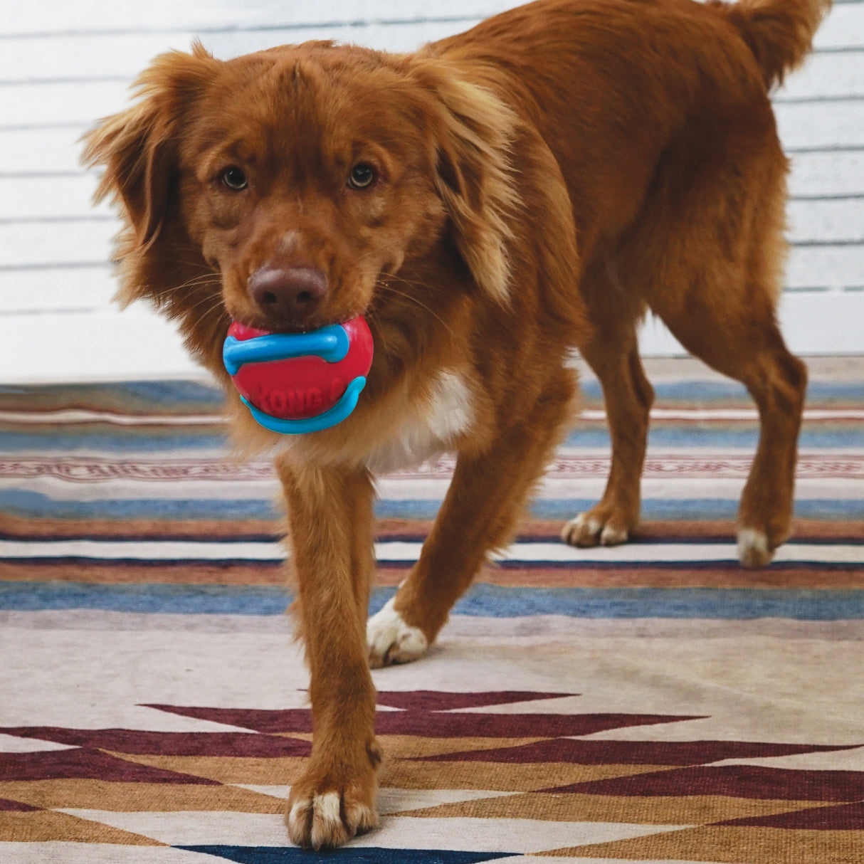 KONG Jaxx Brights Ball With Rope