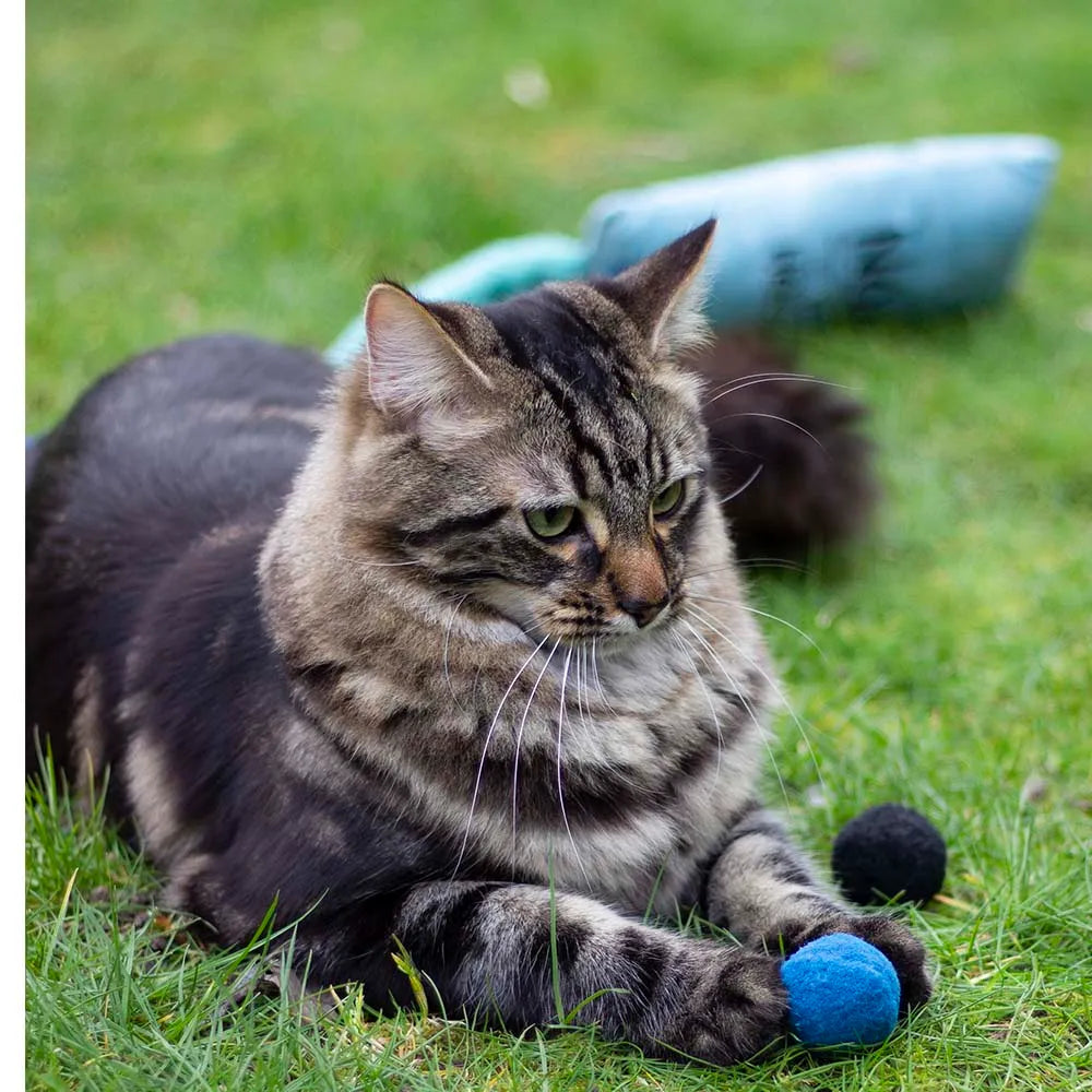 Battersea Pounce Cat Balls