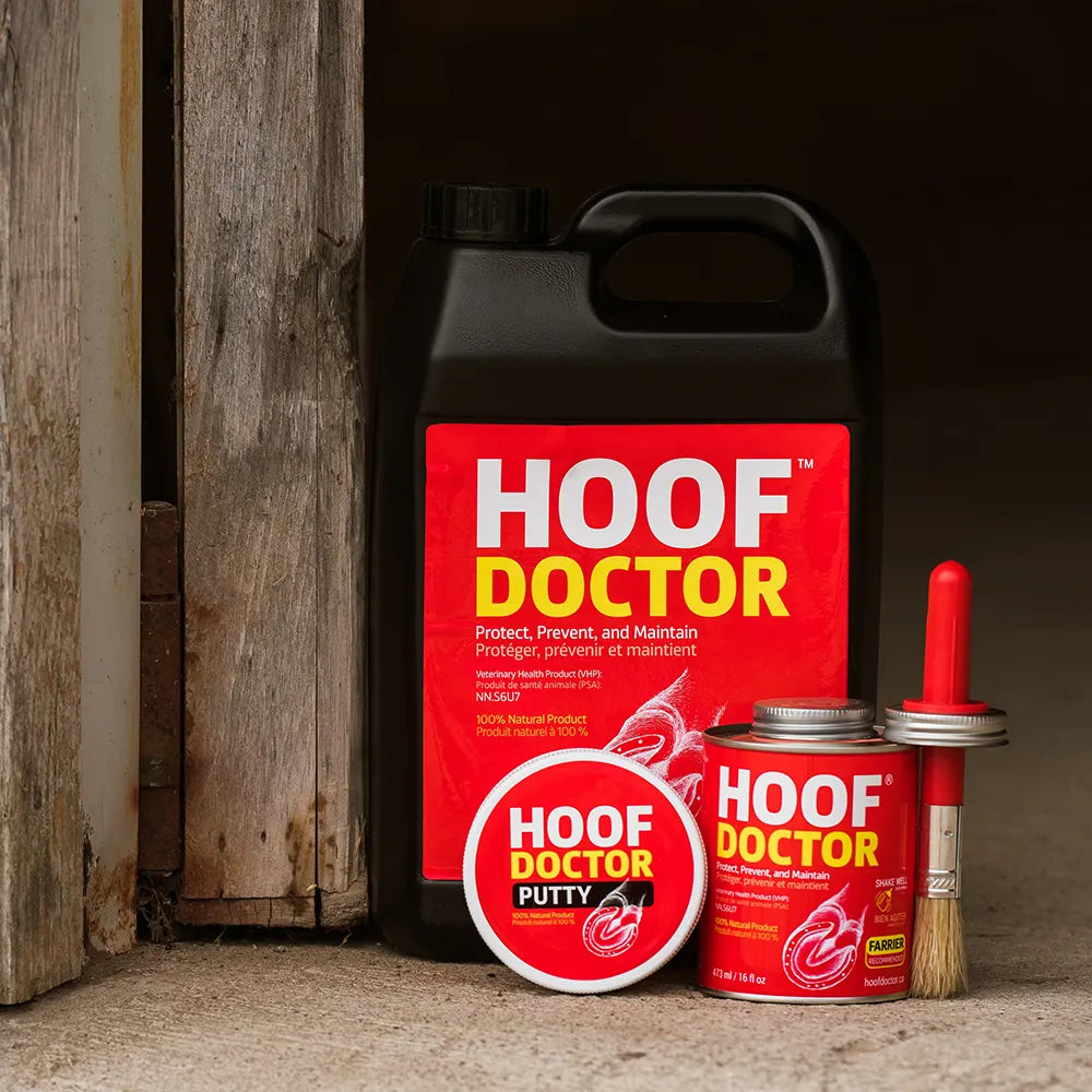 Equine One Hoof Doctor