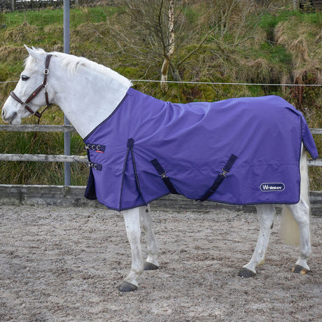 Whitaker Rastrick 0g Turnout Rug #colour_purple