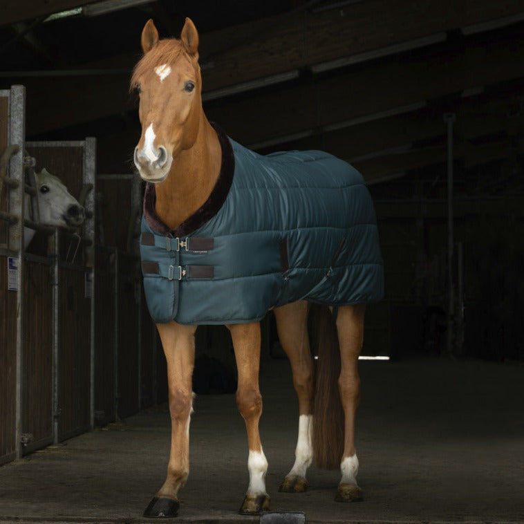 Equitheme Teddy Stable Rug #colour_green-brown