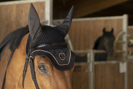 Equitheme Skolstart Fly Hood #colour_black