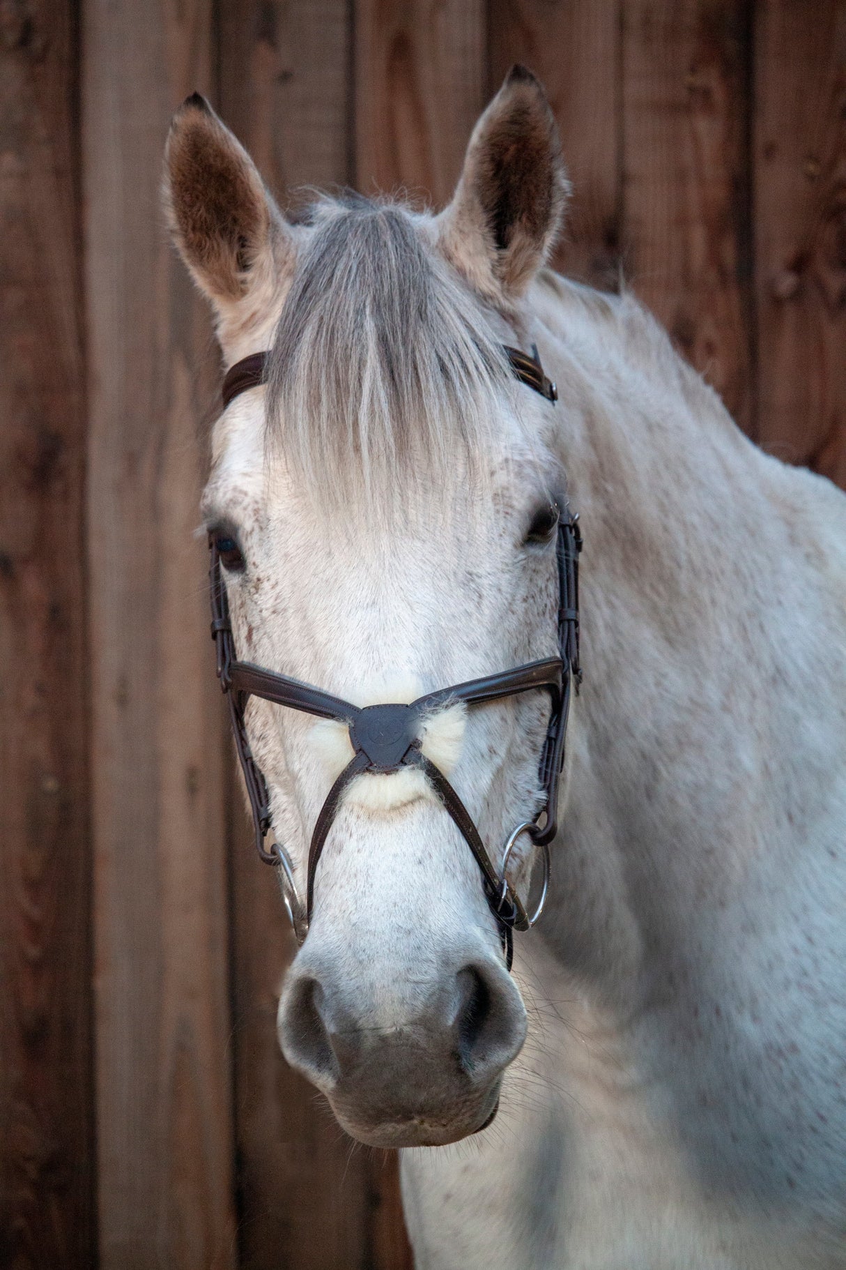 Henry James Sheepskin Grackle Bridle #colour_havana-brown