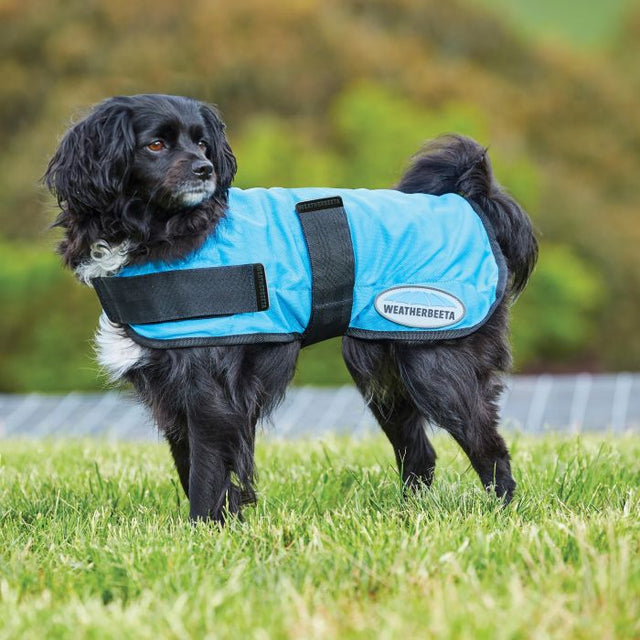 Weatherbeeta Therapy-Tec Cooling Dog Coat #colour_light-blue