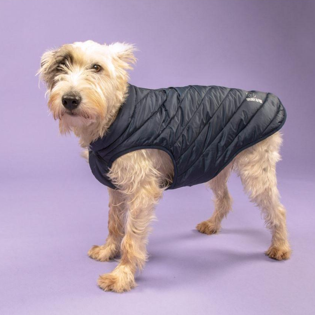 Shires Digby & Fox Padded Dog Coat #colour_navy