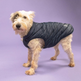Shires Digby & Fox Padded Dog Coat #colour_navy