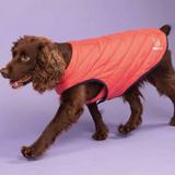 Shires Digby & Fox Padded Dog Coat #colour_coral