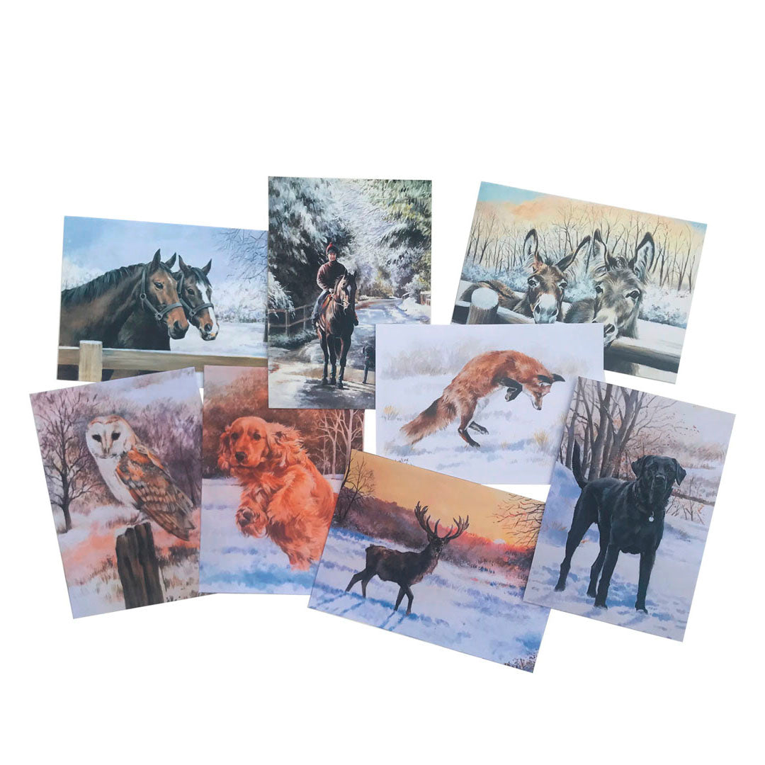 Cartes de vœux Caroline Cook Winter Collection - Paquet de 16